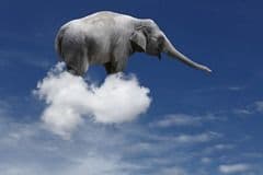 elephant in the cloud