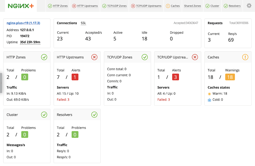 Screenshot des Dashboards zur Live-Aktivitätsüberwachung von NGINX Plus