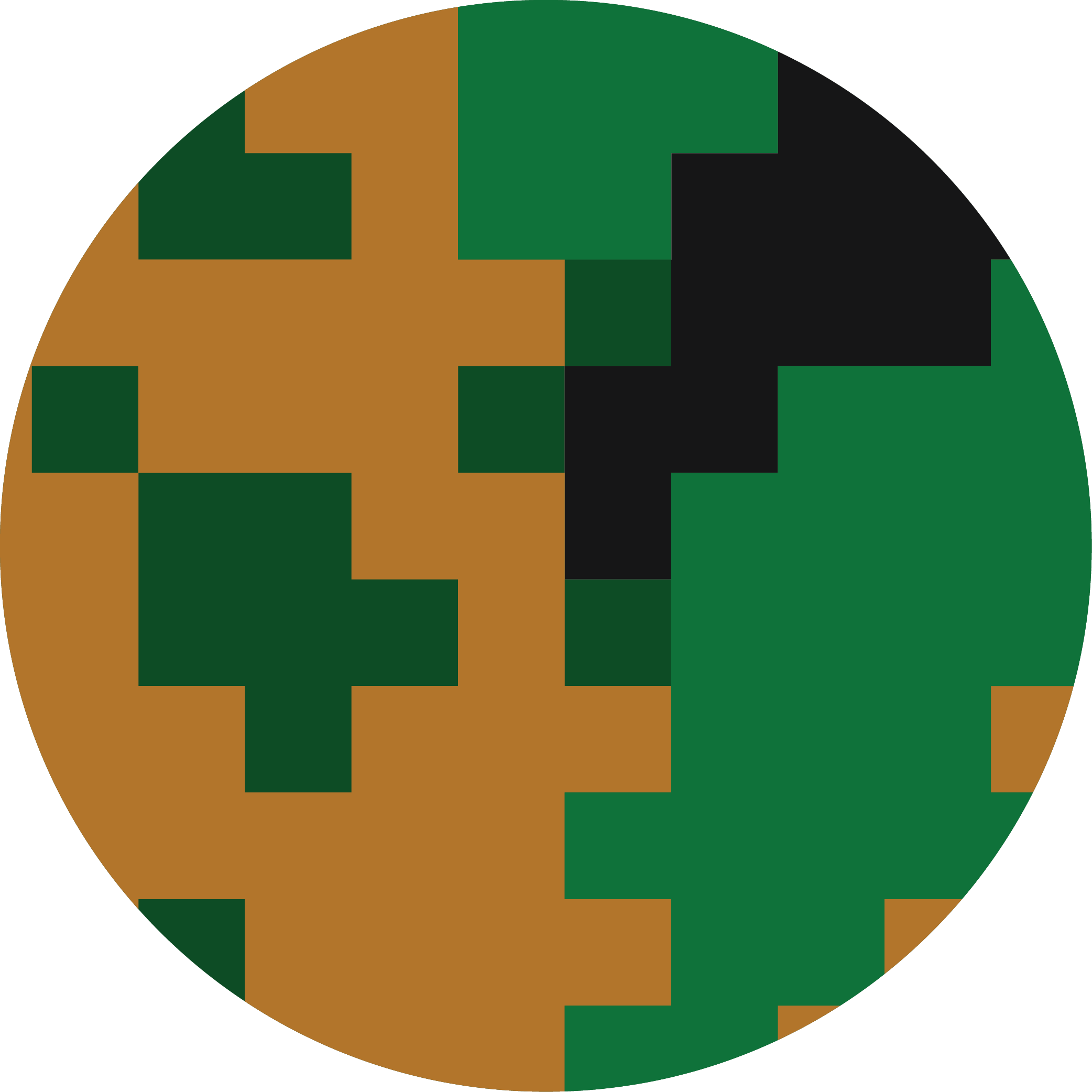 veterans logo